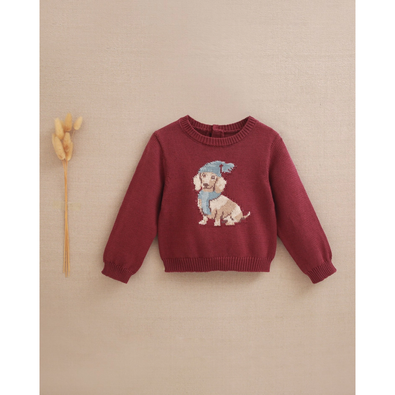 Jersey de bebé niño morado con dibujo de perro salchicha