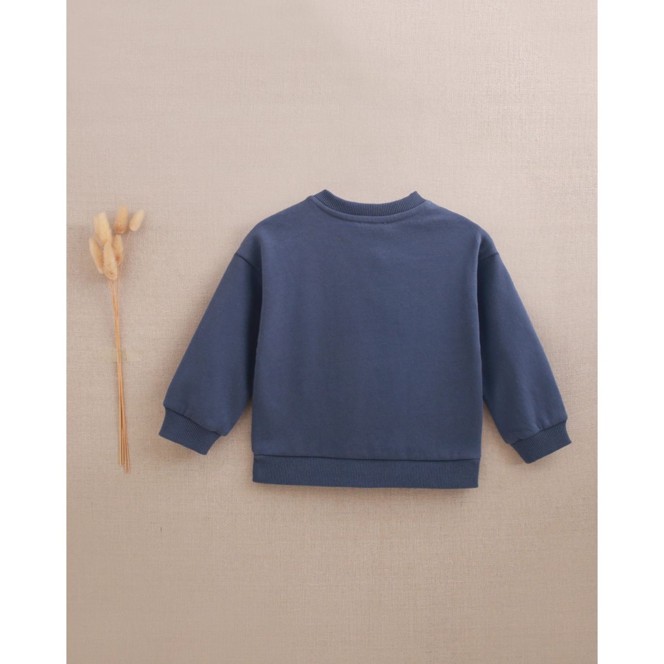 Sudadera de bebé niño azul con bordado de estrella rosa 2